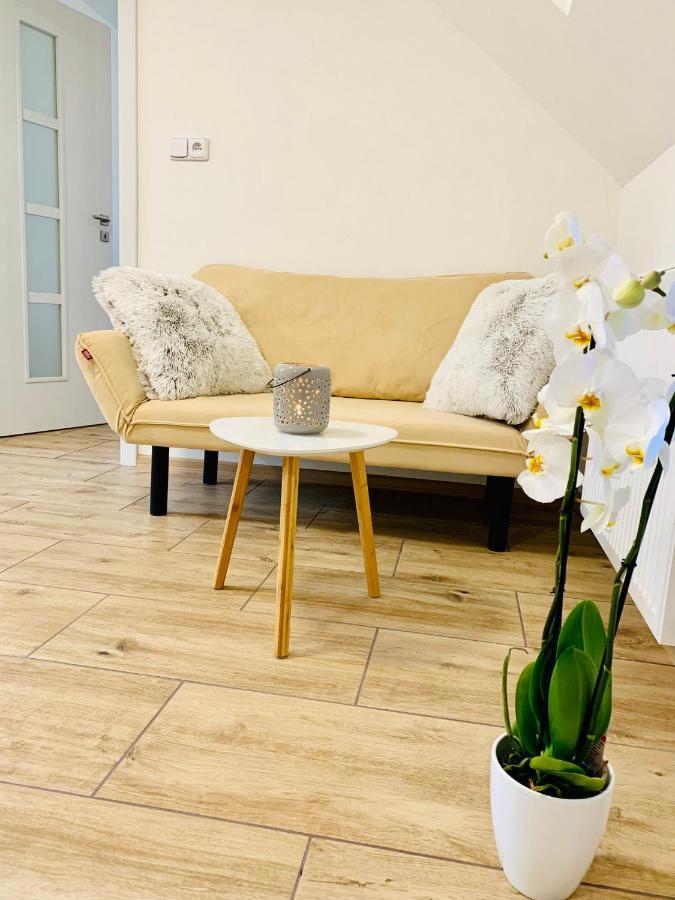 Apartmany Jetrichovice - Ceske Svycarsko Екстер'єр фото