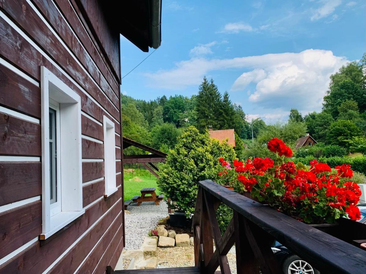 Apartmany Jetrichovice - Ceske Svycarsko Екстер'єр фото