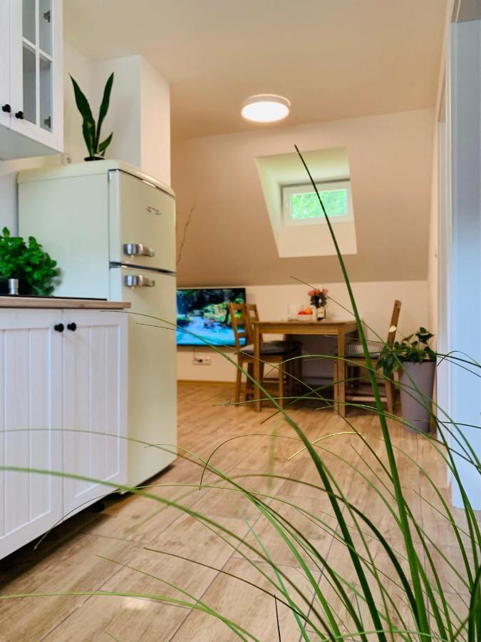 Apartmany Jetrichovice - Ceske Svycarsko Екстер'єр фото