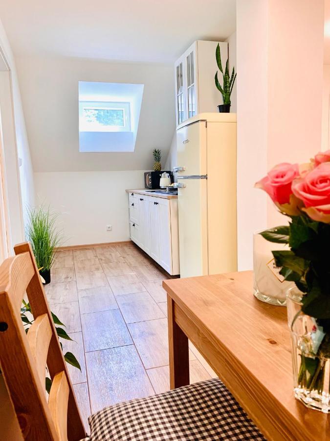 Apartmany Jetrichovice - Ceske Svycarsko Екстер'єр фото